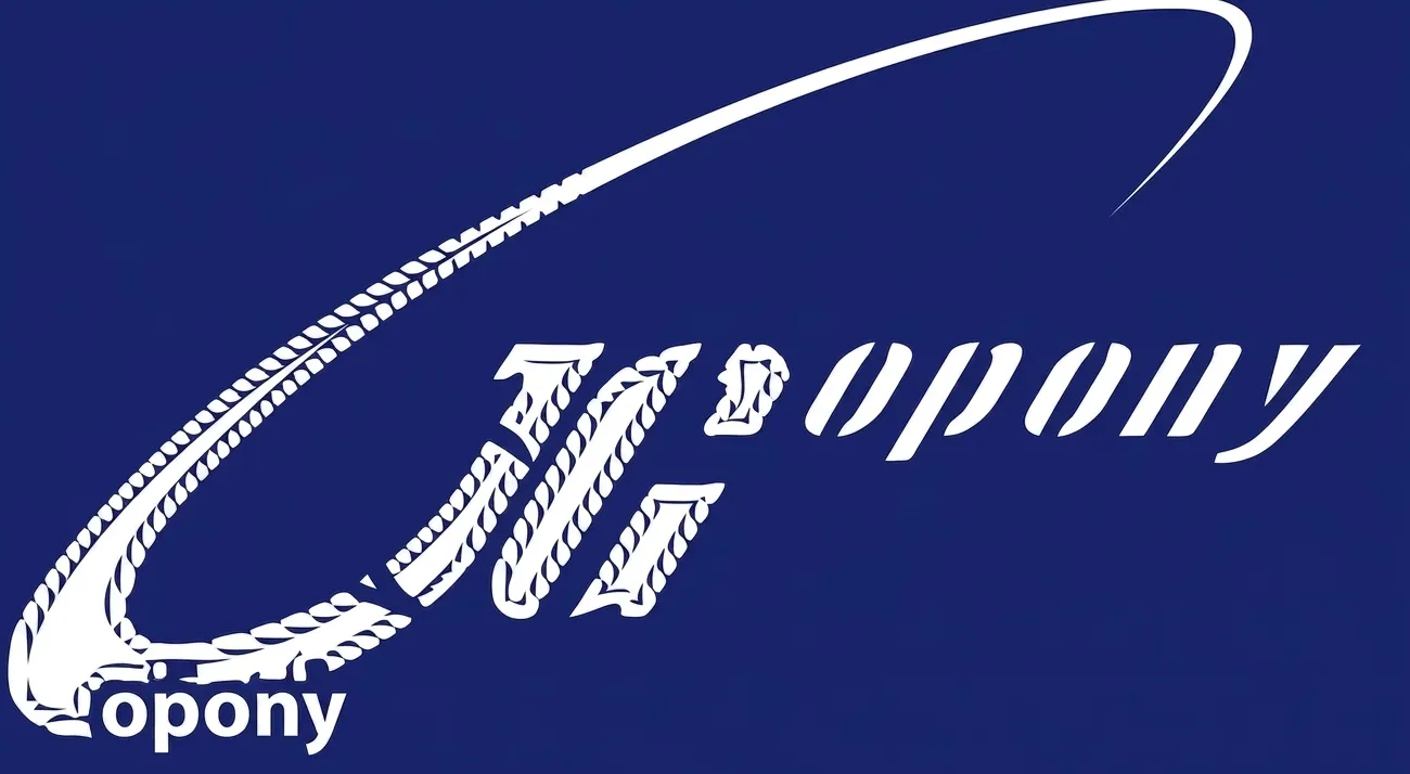 JGOPONY — оптовый продавец б/у шин, Польша